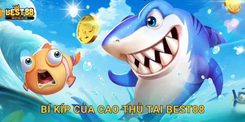 Bí Kíp Của Cao Thủ Tại Best88